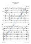 Robert Hejnar: Lorelei pro housle sólo, komorní smyčcový orchestr a klavír - galerie 2