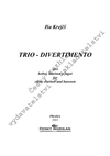 Iša Krejčí: Trio – Divertimento - galerie 1