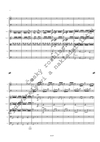 Jiří Teml: Concerto grosso č. 3 - galerie 3