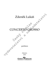 Zdeněk Lukáš: Concerto grosso - galerie 1