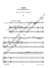 Jan Meisl: Sonáta pro kontrabas a klavír op. 7 - galerie 2