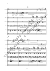 Zdeněk Pololáník: Concerto grosso č. 2 pro klarinet, fagot a smyčce - galerie 3