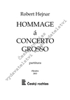 Robert Hejnar: Hommage à Concerto grosso - galerie 1