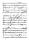 F. V. Kramář: Quintetto pour une Flute, Violon, deux Violes, et Violoncelle, Oeuv. 58 - galerie 3