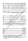 Jan Zach: Concerto per il Cembalo obligato, Violino Primo, Violino Secondo, Viola e Violoncello GS C 17 - galerie 3
