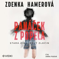 Mluvené slovo Panáček z popela
