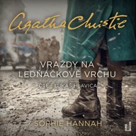 Mluvené slovo Vraždy na Ledňáčkově vrchu