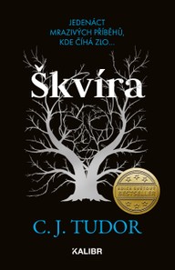 E-kniha Škvíra