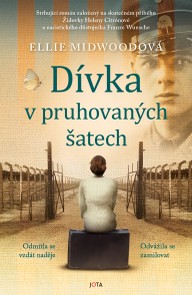 E-kniha Dívka v pruhovaných šatech