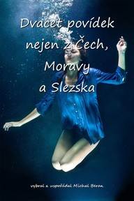 E-kniha Poslední hodina a další povídky z dvaadvaceti hlav