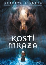 E-kniha Kosti Mraza