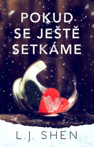 E-kniha Pokud se ještě setkáme