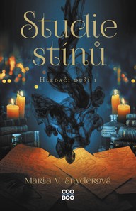 E-kniha Studie stínů