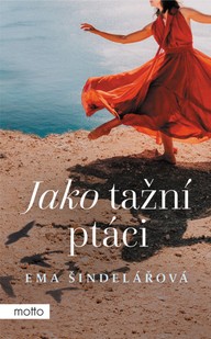 E-kniha Jako tažní ptáci