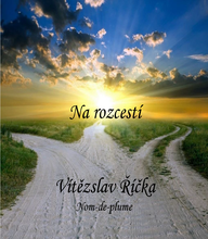 E-kniha Na rozcestí