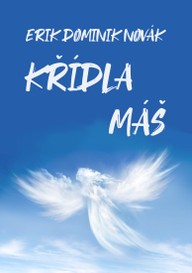 E-kniha Křídla máš