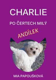 E-kniha Charlie, po čertech milý andílek