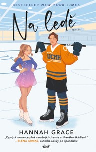 E-kniha Na ledě