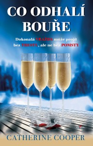 E-kniha Co odhalí bouře