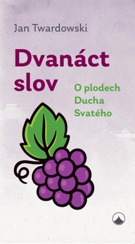 E-kniha Dvanáct slov