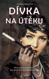 E-kniha Dívka na útěku