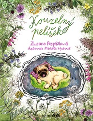 E-kniha Kouzelný pelíšek