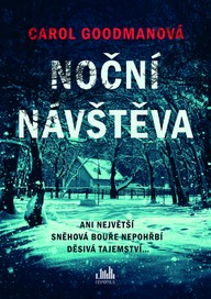 E-kniha Noční návštěva
