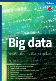 E-kniha Big data