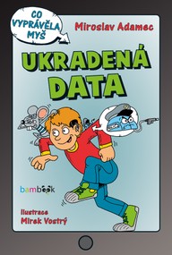 E-kniha Ukradená data