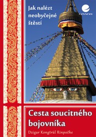 E-kniha Cesta soucitného bojovníka