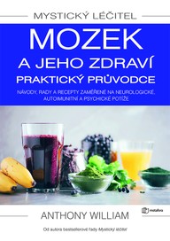 E-kniha Mystický léčitel: Mozek a jeho zdraví praktický průvodce