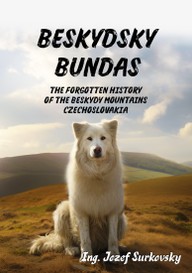 E-kniha Beskydsky bundas: The forgotten history of the Beskydy mountains, Czechoslovakia