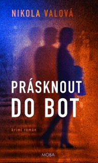 E-kniha Prásknout do bot