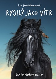 E-kniha Rychlý jako vítr: Jak to všechno začalo
