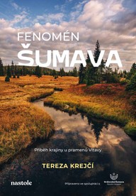 E-kniha Fenomén Šumava