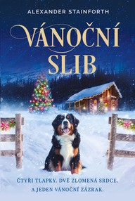 E-kniha Vánoční slib