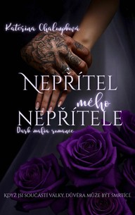 E-kniha Nepřítel mého nepřítele