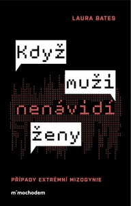 E-kniha Když muži nenávidí ženy: Případy extrémní mizogynie
