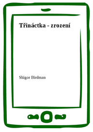 E-kniha Třináctka - zrození