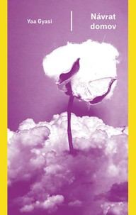 E-kniha Návrat domov