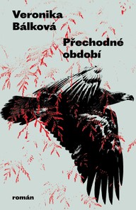 E-kniha Přechodné období 