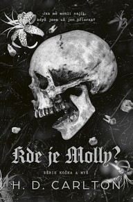 E-kniha Kde je Molly?