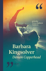 E-kniha Demon Copperhead