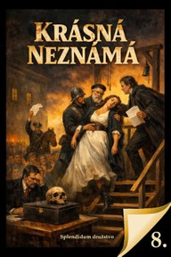 E-kniha Krásná neznámá 