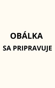 E-kniha Hodvábnik