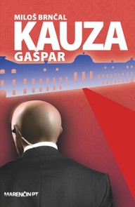 E-kniha Kauza Gašpar