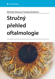 E-kniha Stručný přehled oftalmologie