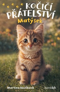 E-kniha Kočičí přátelství - Matýsek