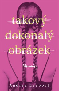 E-kniha Takový dokonalý obrázek