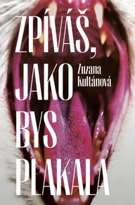 E-kniha Zpíváš, jako bys plakala